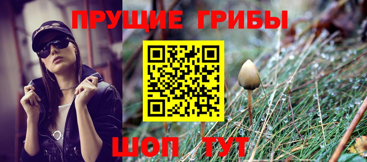Галлюциногенные грибы Psilocybe Ижевск