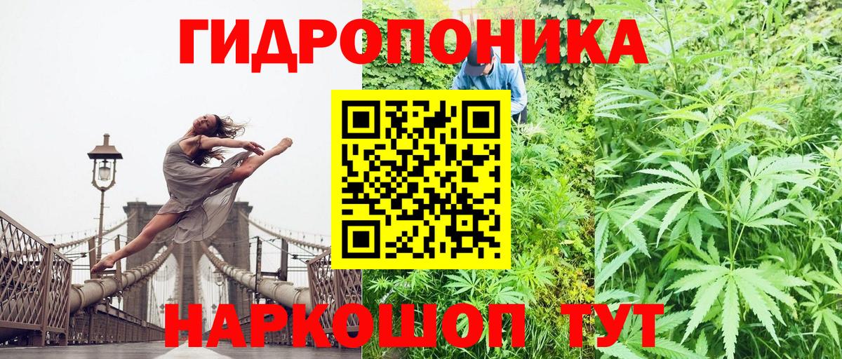 Ижевск  Конопля OG Kush  Каннабис VHQ  Вход с VPN 
